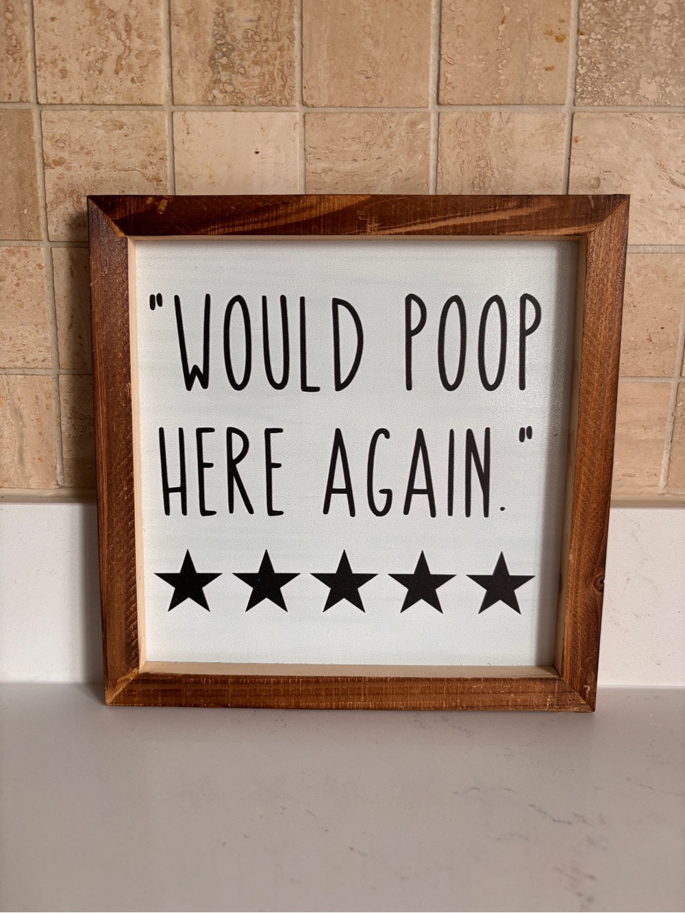 Would Poop Here Again Framed Decor